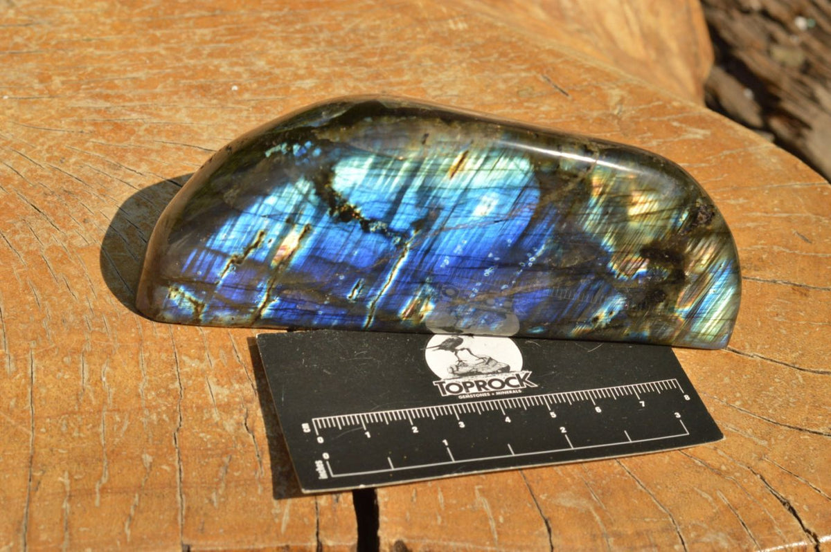 Polished Flashy Blue Labradorite Standing Free Forms x 2 From Tulear, Madagascar - TopRock