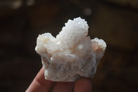 Natural White Cactus Flower Spirit Quartz Specimens x 12 From Boekenhouthoek, South Africa - Toprock Gemstones and Minerals