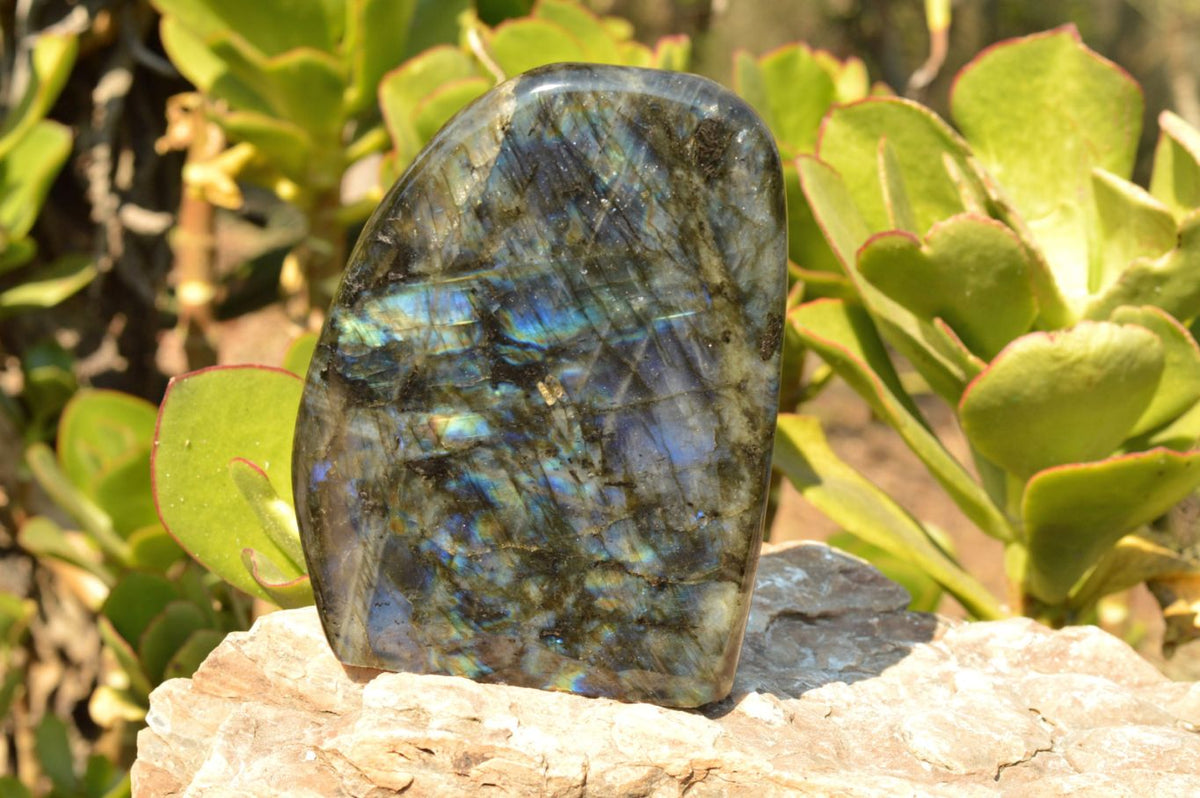 Polished Flashy Blue Labradorite Standing Free Forms x 2 From Tulear, Madagascar - TopRock