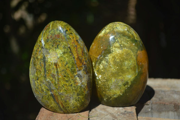 Polished Green Opal Standing Free Forms  x 6 From Madagascar - Toprock Gemstones and Minerals 