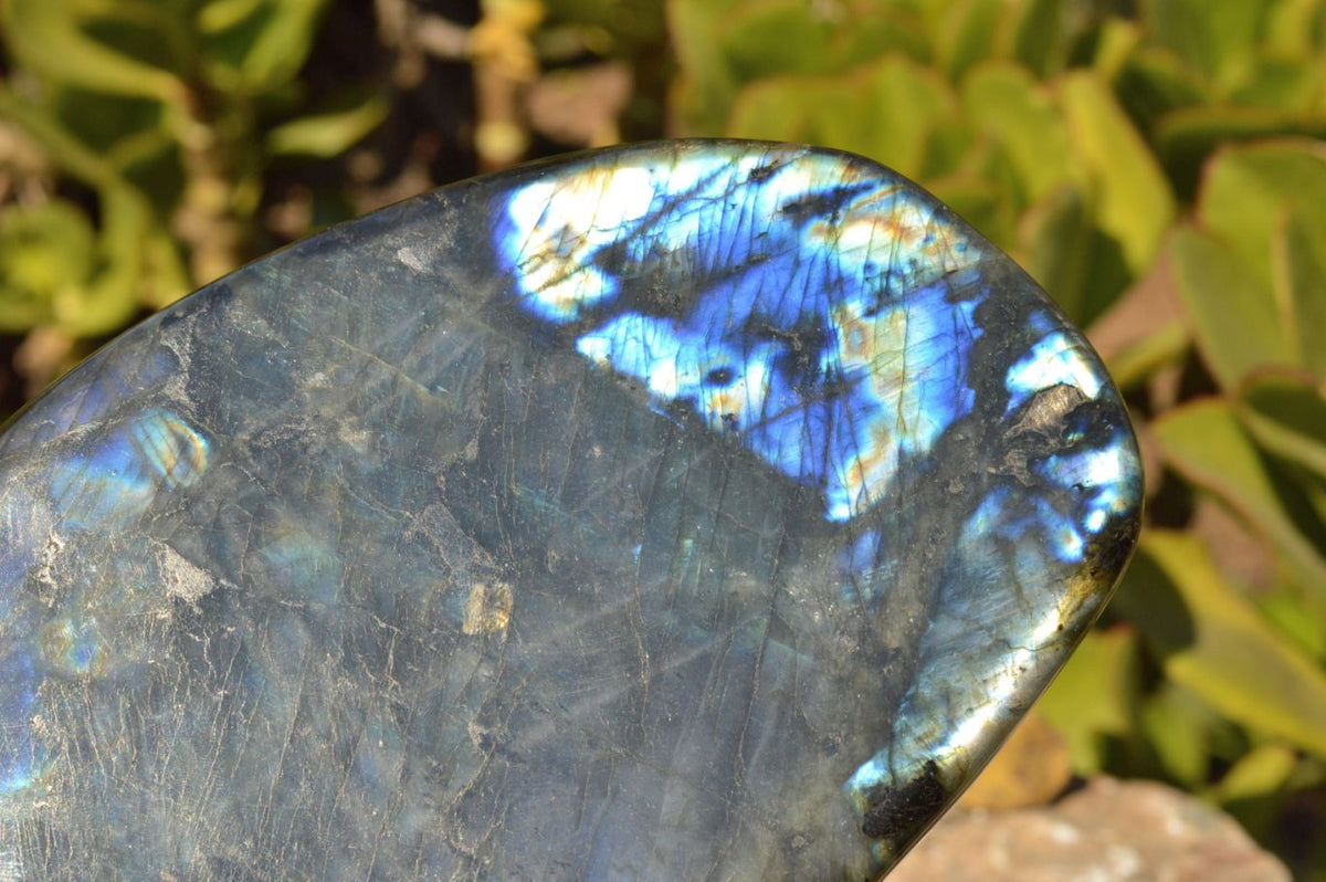 Polished Flashy Blue Labradorite Standing Free Forms x 2 From Tulear, Madagascar - TopRock