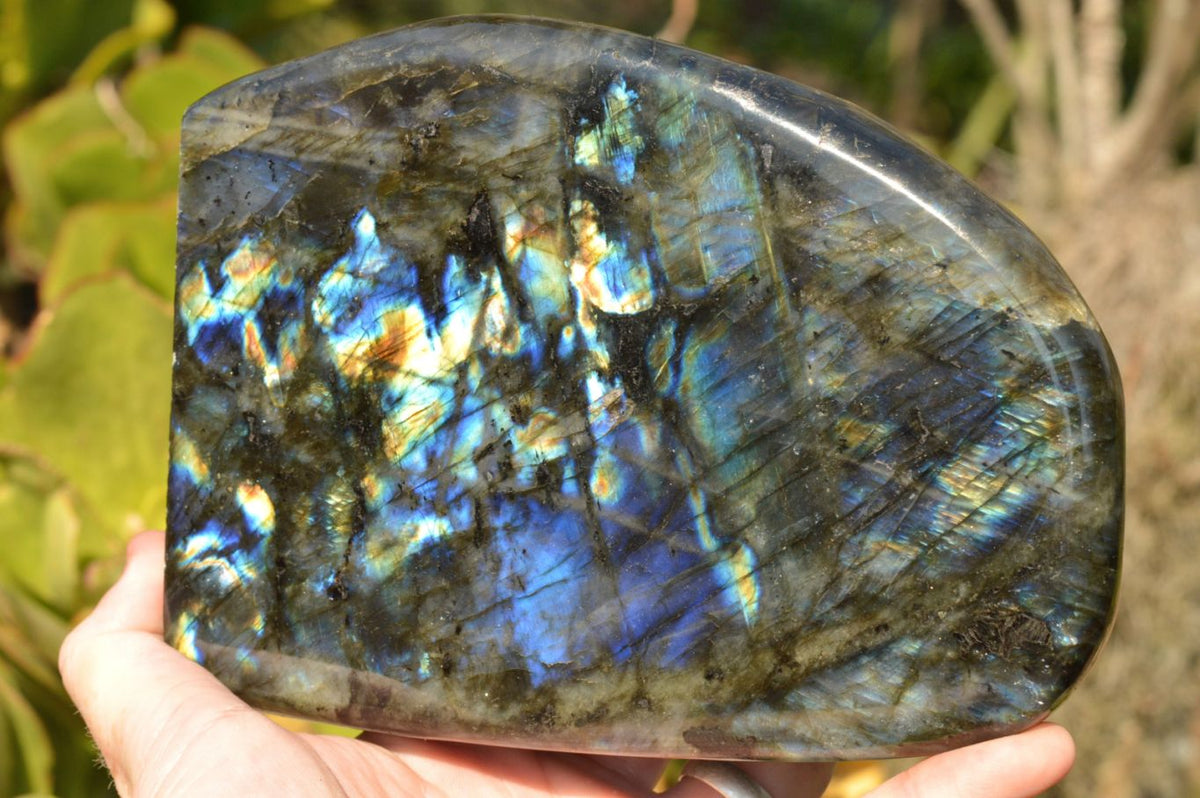 Polished Flashy Blue Labradorite Standing Free Forms x 2 From Tulear, Madagascar - TopRock