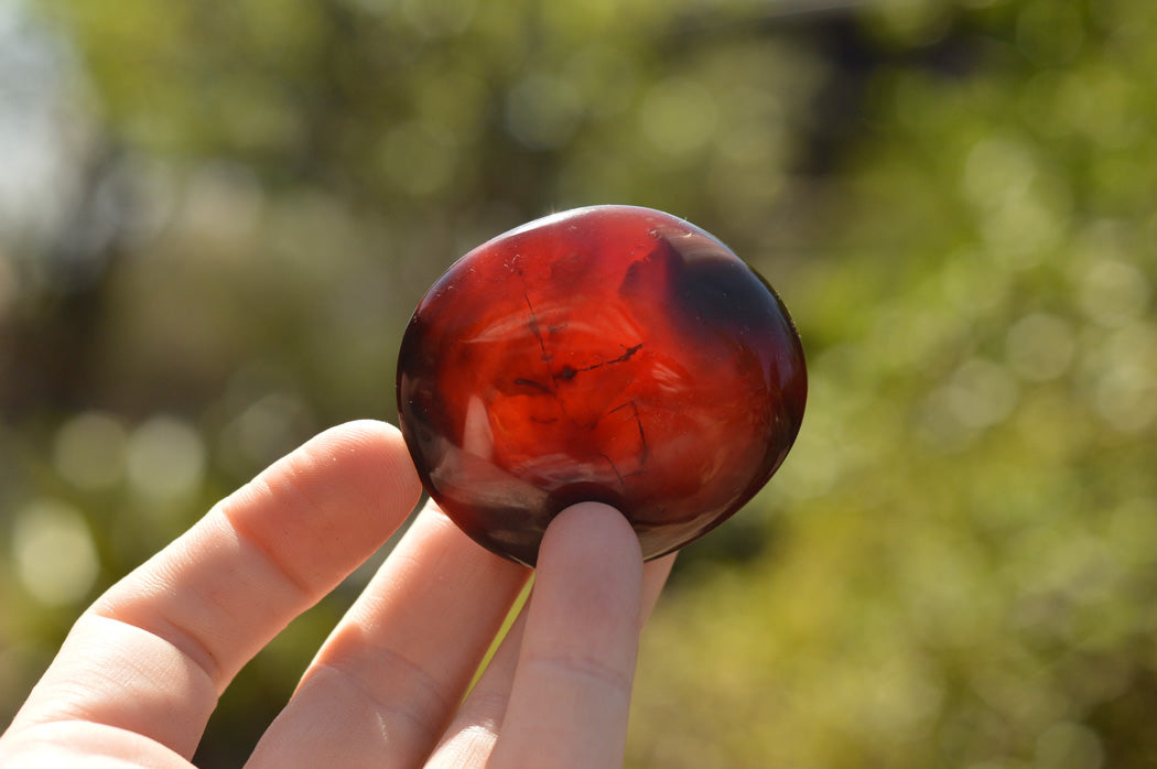Polished Deep Red Carnelian Agate Gallets x 12 From Madagascar - TopRock