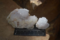 Natural White Cactus Flower Spirit Quartz Specimens x 12 From Boekenhouthoek, South Africa - Toprock Gemstones and Minerals