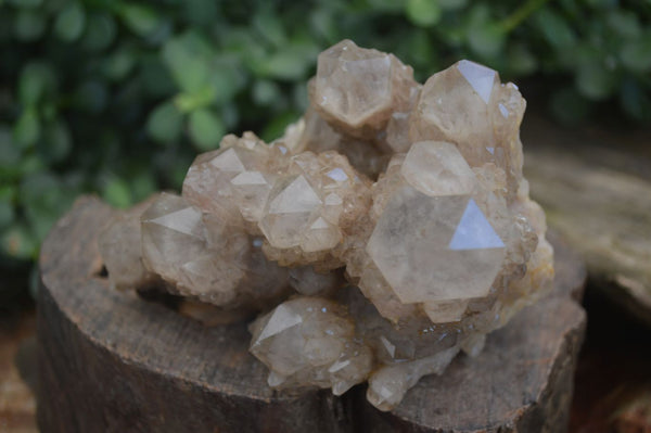 Natural Cascading White Phantom Smokey Quartz Clusters  x 2 From Luena, Congo - Toprock Gemstones and Minerals 