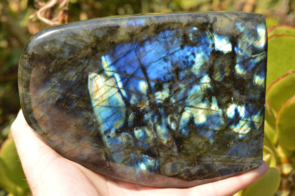 Polished Flashy Blue Labradorite Standing Free Forms x 2 From Tulear, Madagascar - TopRock