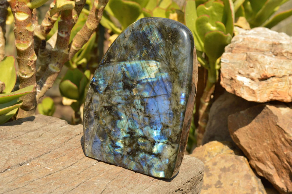 Polished Flashy Blue Labradorite Standing Free Forms x 2 From Tulear, Madagascar - TopRock