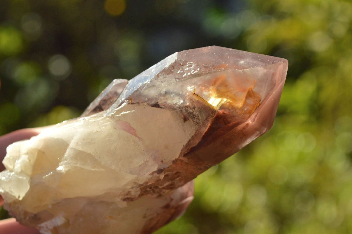 Natural Large Single Red Hematoid Quartz Crystals x 12 From Zimbabwe - TopRock