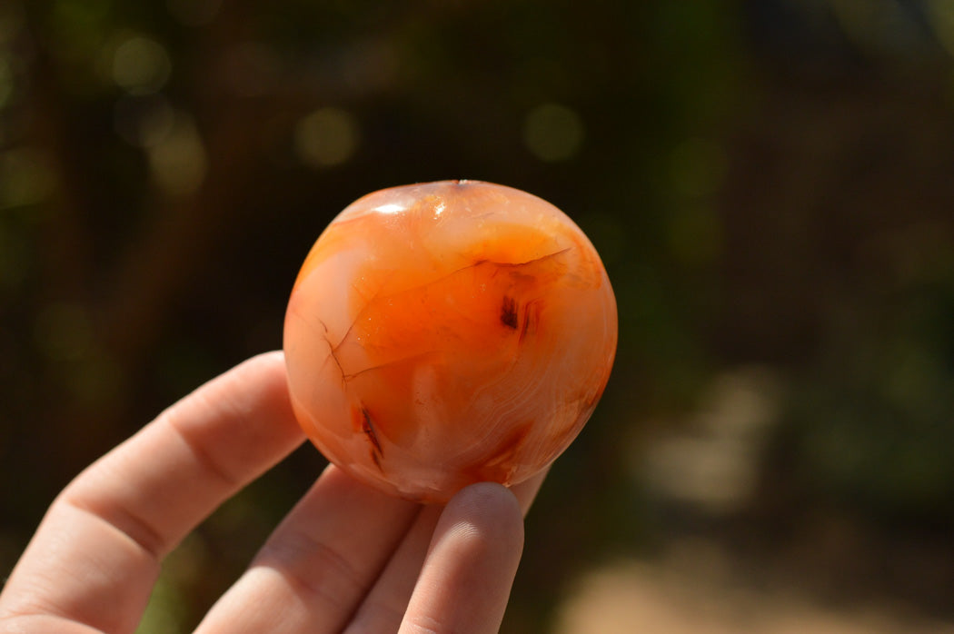 Polished Deep Red Carnelian Agate Gallets x 12 From Madagascar - TopRock