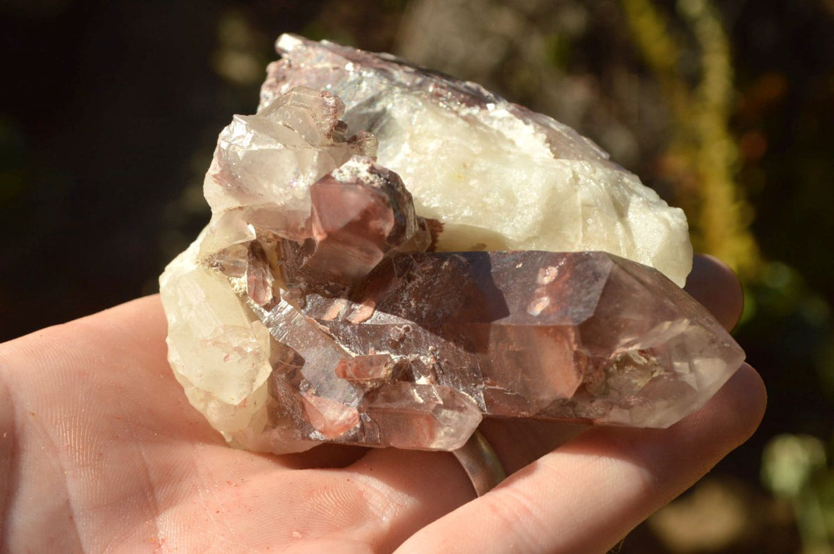 Natural Large Single Red Hematoid Quartz Crystals x 12 From Zimbabwe - TopRock