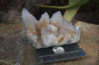 Natural Pale Spirit Ametrine Quartz Clusters  x 3 From Boekenhouthoek, South Africa - Toprock Gemstones and Minerals