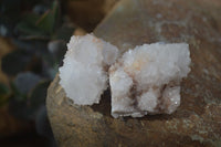 Natural White Cactus Flower Spirit Quartz Specimens x 12 From Boekenhouthoek, South Africa - Toprock Gemstones and Minerals