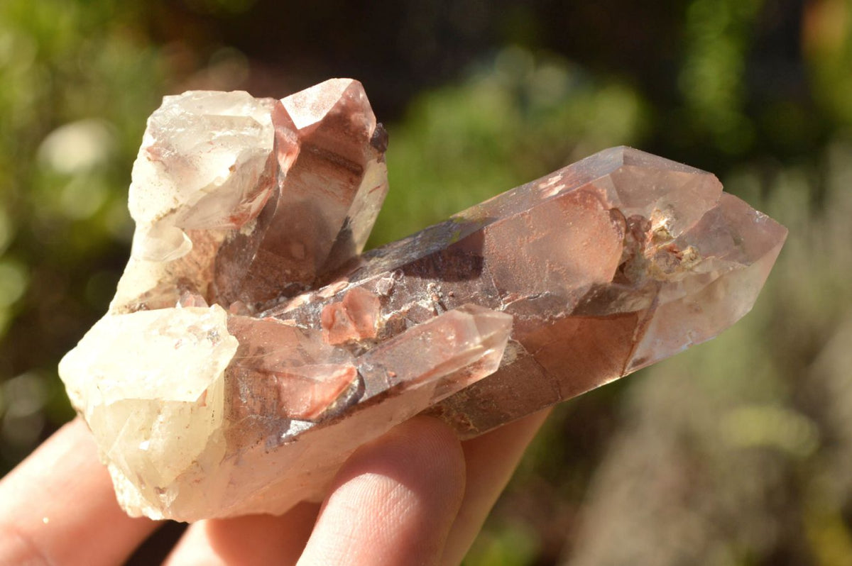 Natural Large Single Red Hematoid Quartz Crystals x 12 From Zimbabwe - TopRock