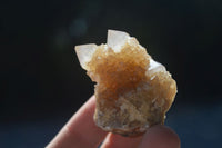 Natural Small Mixed Spirit Quartz Crystals  x 70 From Boekenhouthoek, South Africa - Toprock Gemstones and Minerals