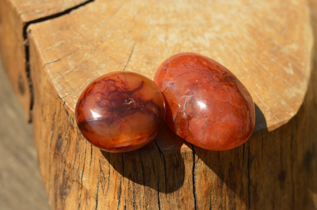 Polished Deep Red Carnelian Agate Gallets x 12 From Madagascar - TopRock
