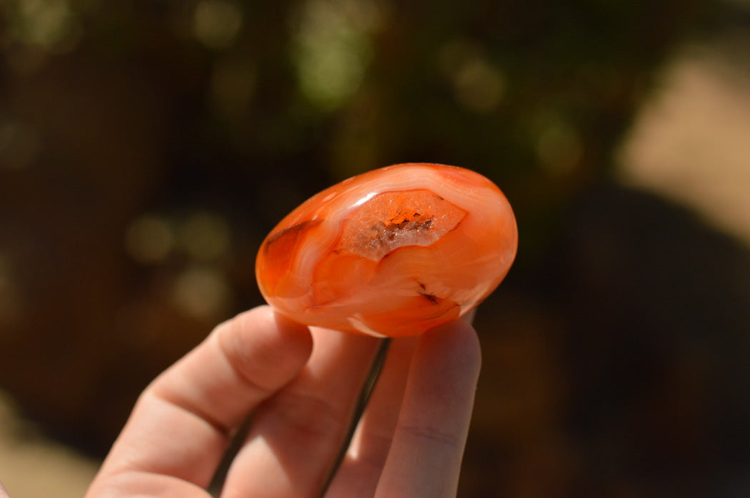 Polished Deep Red Carnelian Agate Gallets x 12 From Madagascar - TopRock