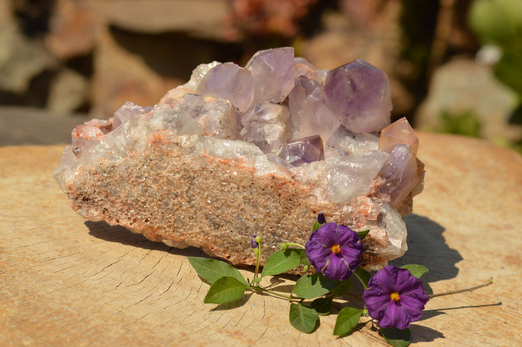 Natural Jacaranda Amethyst Quartz Cluster x 1 From Mumbwe, Zambia - TopRock