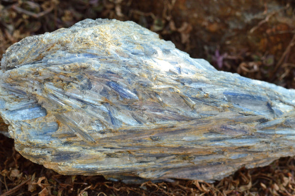 Natural Blue Kyanite Crystals In Schist Specimens  x 3 From Karoi, Zimbabwe - TopRock