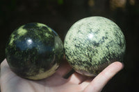 Polished Green Leopard Stone Spheres  x 2 From Zimbabwe - Toprock Gemstones and Minerals