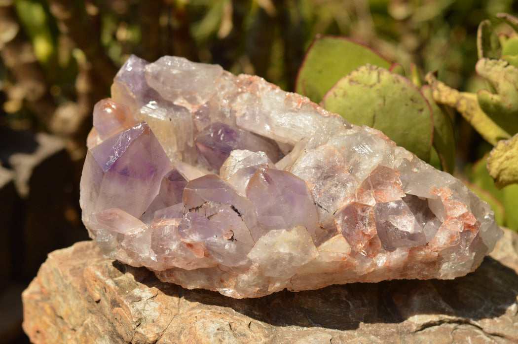 Natural Jacaranda Amethyst Quartz Cluster x 1 From Mumbwe, Zambia - TopRock