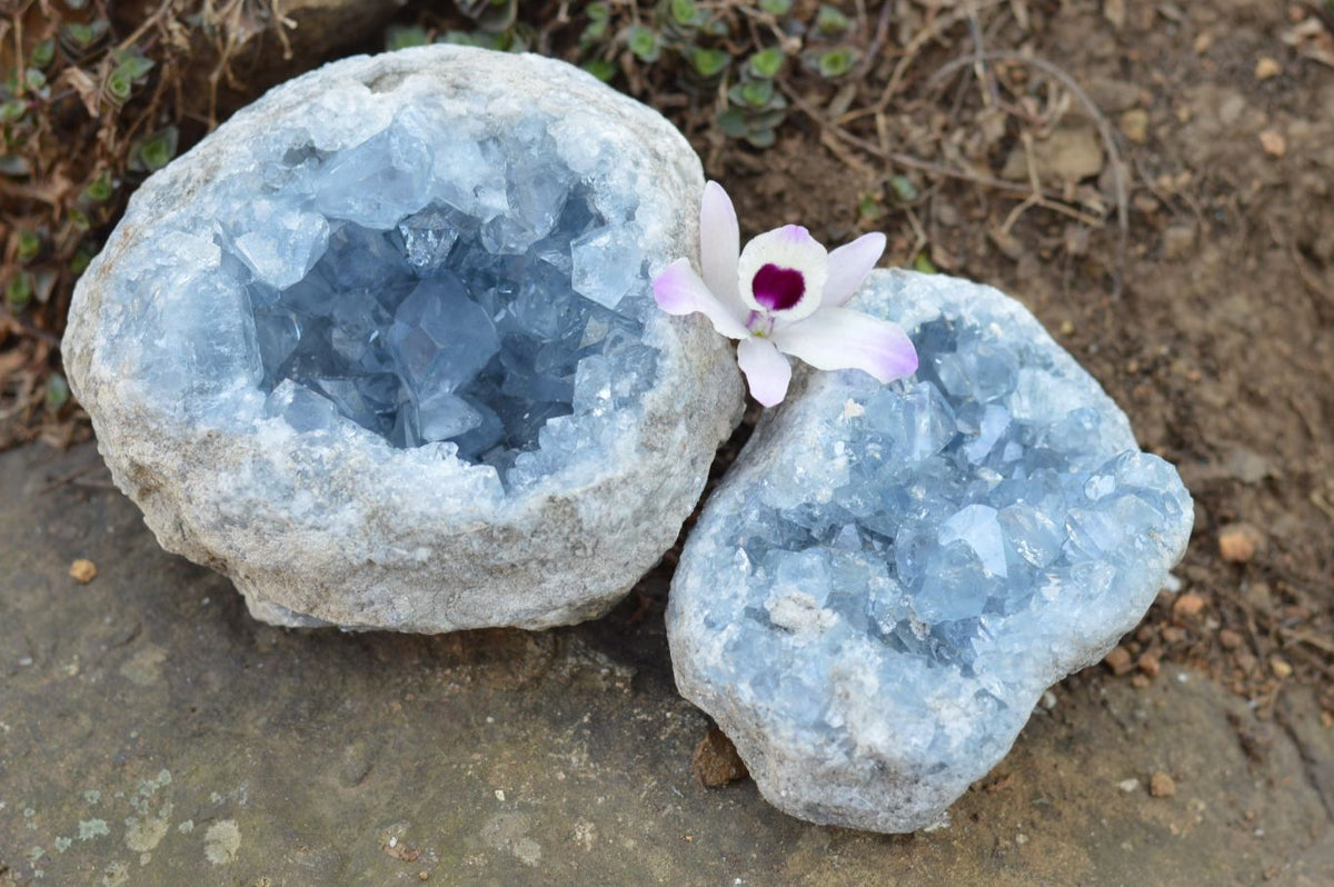 Natural Blue Celestite Geodes With Gemmy Cubic Crystals x 2 From Sakoany, Madagascar - TopRock