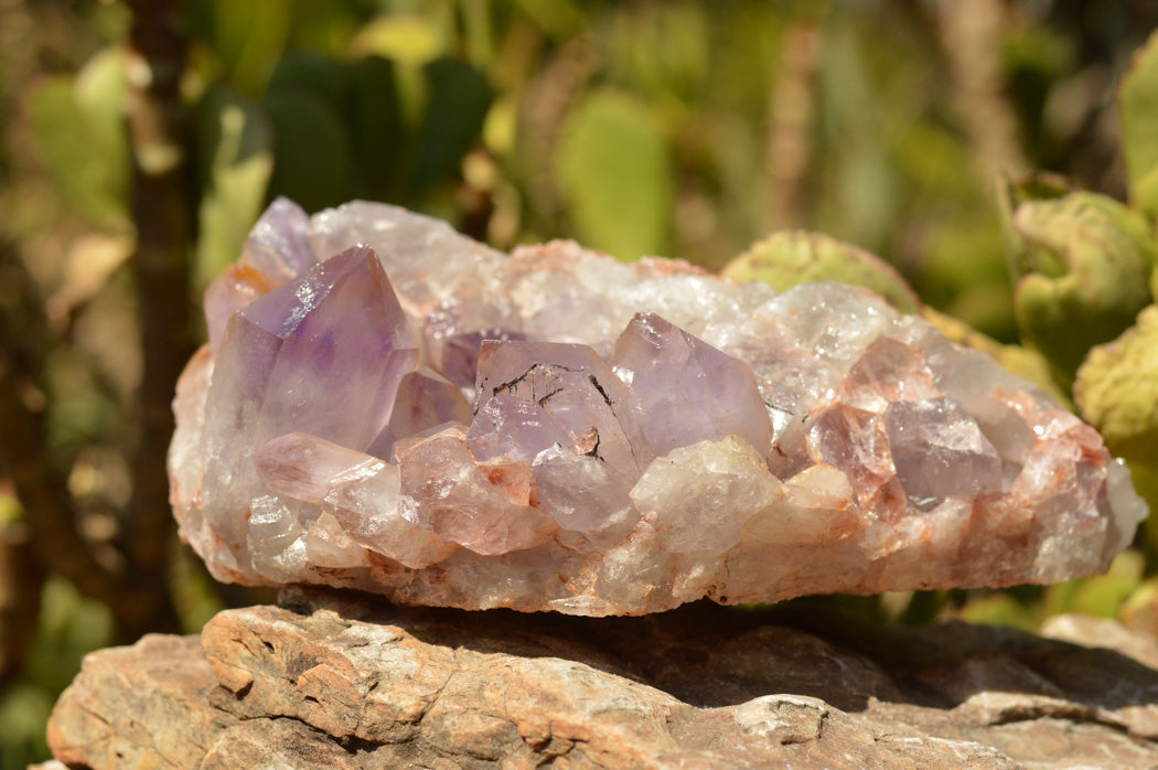 Natural Jacaranda Amethyst Quartz Cluster x 1 From Mumbwe, Zambia - TopRock