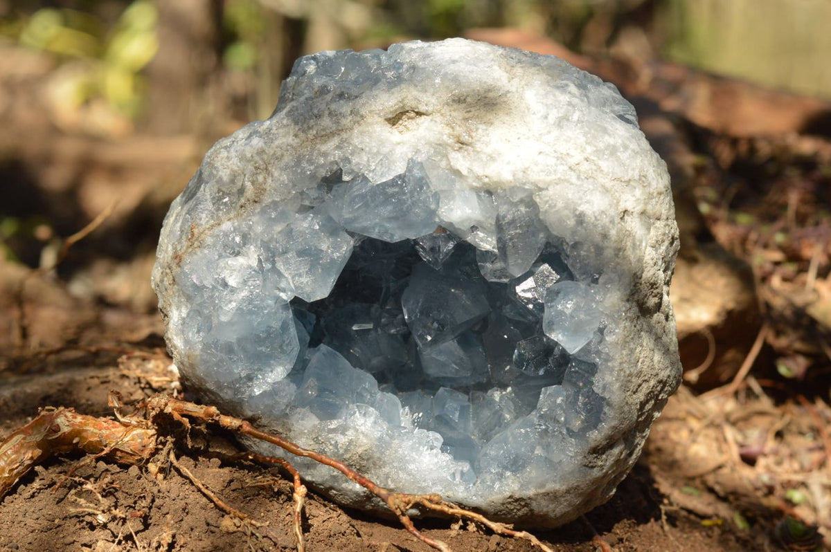 Natural Blue Celestite Geodes With Gemmy Cubic Crystals x 2 From Sakoany, Madagascar - TopRock