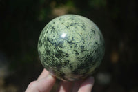 Polished Green Leopard Stone Spheres  x 2 From Zimbabwe - Toprock Gemstones and Minerals