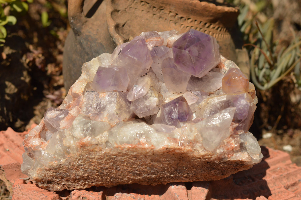 Natural Jacaranda Amethyst Quartz Cluster x 1 From Mumbwe, Zambia - TopRock