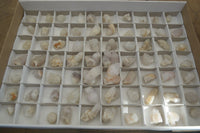 Natural Single White Spirit Quartz Crystals x 70 From Boekenhouthoek, South Africa - Toprock Gemstones and Minerals