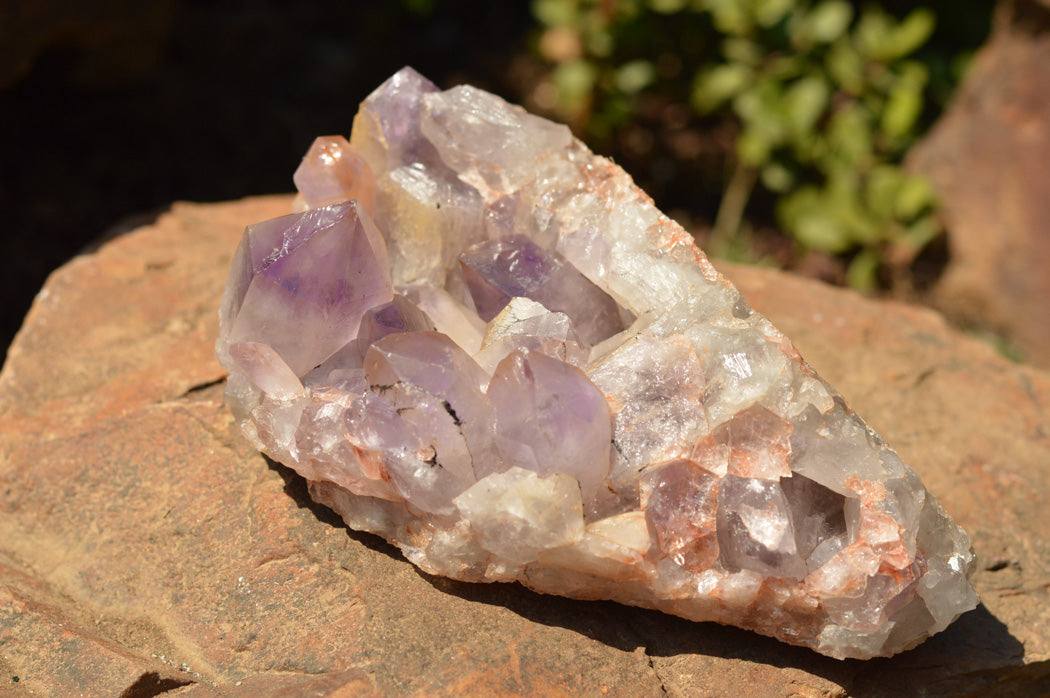 Natural Jacaranda Amethyst Quartz Cluster x 1 From Mumbwe, Zambia - TopRock