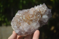 Natural Large Spirit Ametrine Quartz Specimens  x 3 From Boekenhouthoek, South Africa - Toprock Gemstones and Minerals