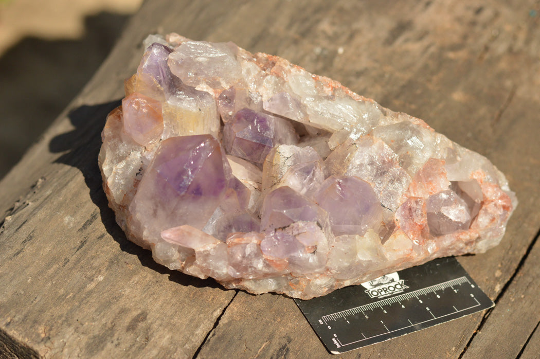 Natural Jacaranda Amethyst Quartz Cluster x 1 From Mumbwe, Zambia - TopRock