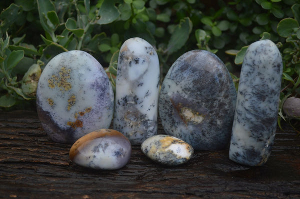 Polished Dendritic White Opal Standing Free Forms & Gallets x 6 From Madagascar - Toprock Gemstones and Minerals 