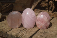 Polished Gemmy Pink Rose Quartz Standing Free Forms x 3 From Madagascar - Toprock Gemstones and Minerals