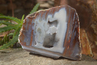 Polished One Side Polished Agate Free Forms  x 2 From Southern Africa - Toprock Gemstones and Minerals