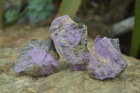 Natural Rough Stichtite Cobbed Specimens x 24 From Barberton, South Africa - Toprock Gemstones and Minerals