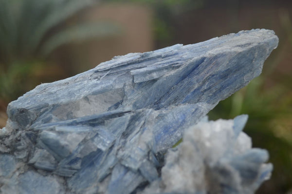 Natural Extra Large Blue Kyanite Matrix Specimens  x 2 From Karoi, Zimbabwe - TopRock
