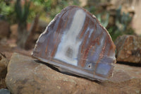 Polished One Side Polished Agate Free Forms  x 2 From Southern Africa - Toprock Gemstones and Minerals