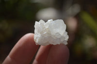 Natural Single White Spirit Quartz Crystals x 70 From Boekenhouthoek, South Africa - Toprock Gemstones and Minerals