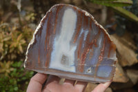 Polished One Side Polished Agate Free Forms  x 2 From Southern Africa - Toprock Gemstones and Minerals