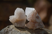 Natural Single White Spirit Quartz Crystals x 70 From Boekenhouthoek, South Africa - Toprock Gemstones and Minerals