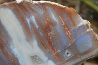 Polished One Side Polished Agate Free Forms  x 2 From Southern Africa - Toprock Gemstones and Minerals