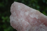Natural Rough Pink Rose Quartz Specimens  x 4 From Namibia - Toprock Gemstones and Minerals