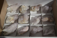 Natural Pale Lilac Spirit Quartz Crystals x 12 From Boekenhouthoek, South Africa - Toprock Gemstones and Minerals