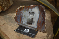 Polished One Side Polished Agate Free Forms  x 2 From Southern Africa - Toprock Gemstones and Minerals