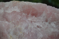 Natural Rough Pink Rose Quartz Specimens  x 4 From Namibia - Toprock Gemstones and Minerals