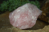 Natural Rough Pink Rose Quartz Specimens  x 4 From Namibia - Toprock Gemstones and Minerals