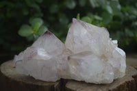 Natural Extra Large Spirit Quartz Crystals  x 4 From Boekenhouthoek, South Africa - Toprock Gemstones and Minerals