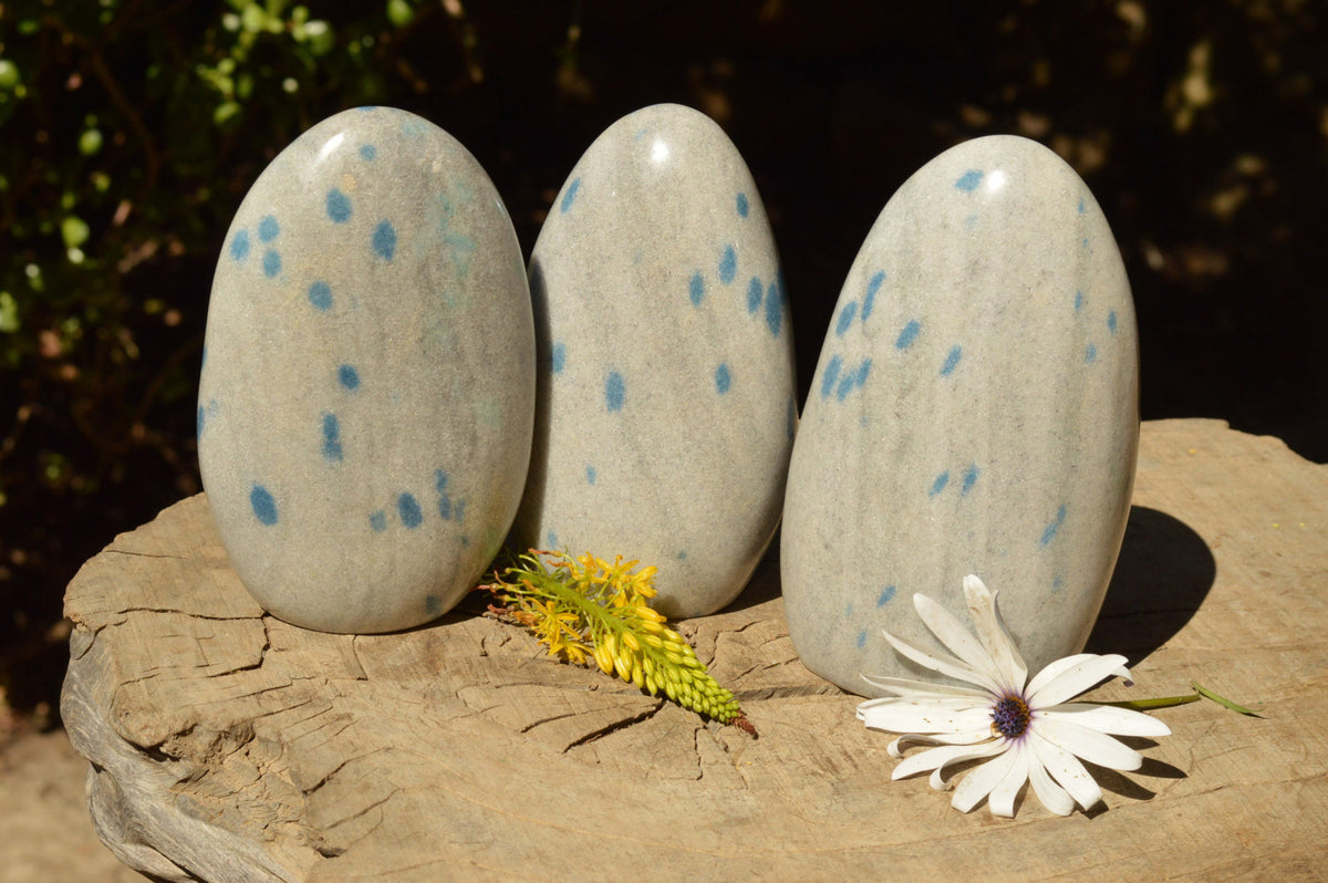 Polished Blue Spotted Spinel / Dalmatian Stone Standing Free Forms x 3 From Madagascar - TopRock